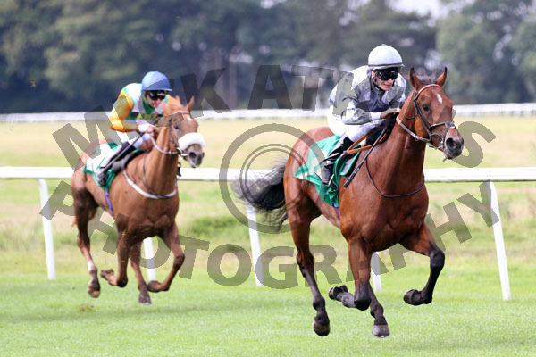 Race 1 - Poets Dream (4)