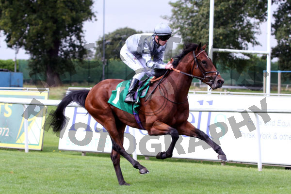 Race 1 - Poets Dream (7)