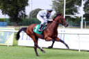 Race 1 - Poets Dream (7)