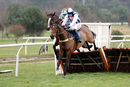 Race 1 - Praeceps (3)
