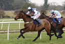 Race 1 - Praeceps (5)