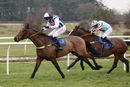 Race 1 - Praeceps (6)