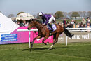 Race 1 - Primrose Ridge (3)