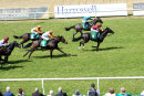 Race 1 - Prince Elzaam (13)