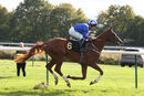 Race 1 - Qitaal (10)