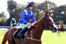 Race 1 - Qitaal (11)