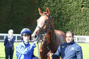 Race 1 - Qitaal (12)