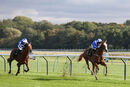 Race 1 - Qitaal (2)