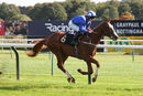 Race 1 - Qitaal (5)