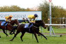 Race 1 - Queen Constantine (6)