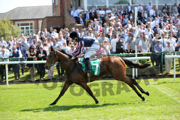 Race 1 - Queen Of Bermuda (11)