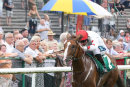 Race 1 - Raypeteafterme (4)