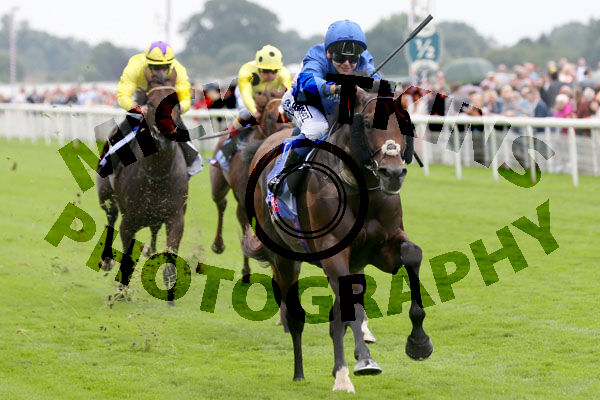 Race 1 - Real World (2)