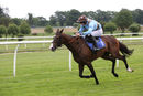 Race 1 - Red Royalist (11)