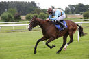 Race 1 - Red Royalist (12)
