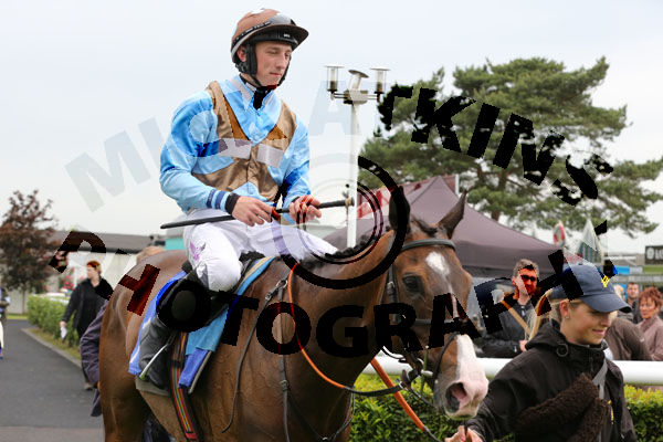 Race 1 - Red Royalist (13)