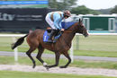 Race 1 - Red Royalist (2)