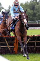 Race 1 - Red Royalist (4)