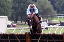 Race 1 - Red Royalist (5)