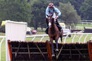 Race 1 - Red Royalist (6)