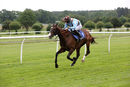 Race 1 - Red Royalist (9)