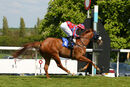 Race 1 - Reigning Profit (5)