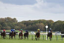 Race 1 - Set Point (3)
