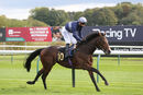 Race 1 - Set Point (8)