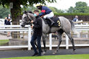 Race 1 - Shining Aitch (16)