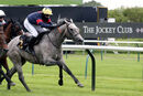 Race 1 - Shining Aitch (7)