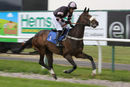 Race 1 - Siannes Star (2)
