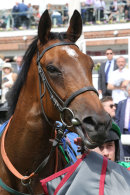 Race 1 - Signora Cabello (1)