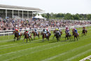 Race 1 - Signora Cabello (2)