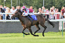 Race 1 - Sir Boris (2)