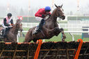 Race 1 - Sir Gerhard (2)