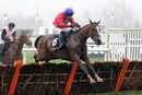 Race 1 - Sir Gerhard (4)