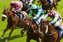 Race 1 - Soul Seeker (5)