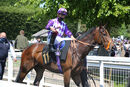 Race 1 - Sows (1)