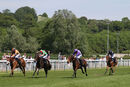 Race 1 - Sows (2)