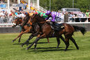 Race 1 - Sows (6)