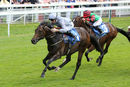 Race 1 - Spartan Fighter (2)