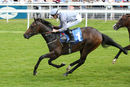 Race 1 - Spartan Fighter (3)
