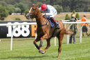 Race 1 - Stole The Show (10)
