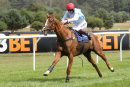 Race 1 - Stole The Show (11)