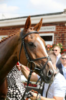Race 1 - Stole The Show (13)