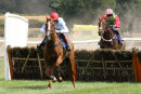 Race 1 - Stole The Show (8)