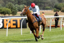Race 1 - Stole The Show (9)