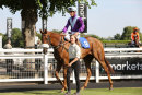 Race 1 - Strict Tempo (8)