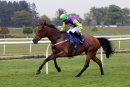 Race 1 - Swinton Diamond (13)
