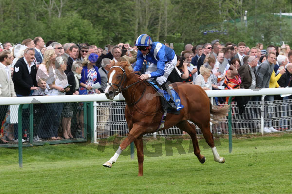 Race 1 - Tabdeed (3)